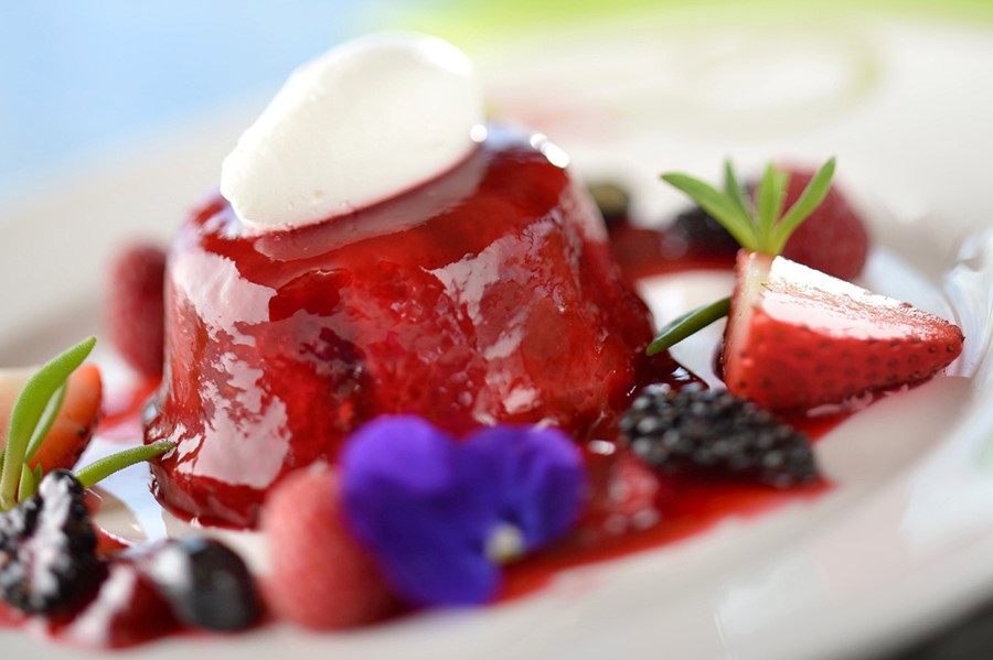 Disney's Summer Pudding