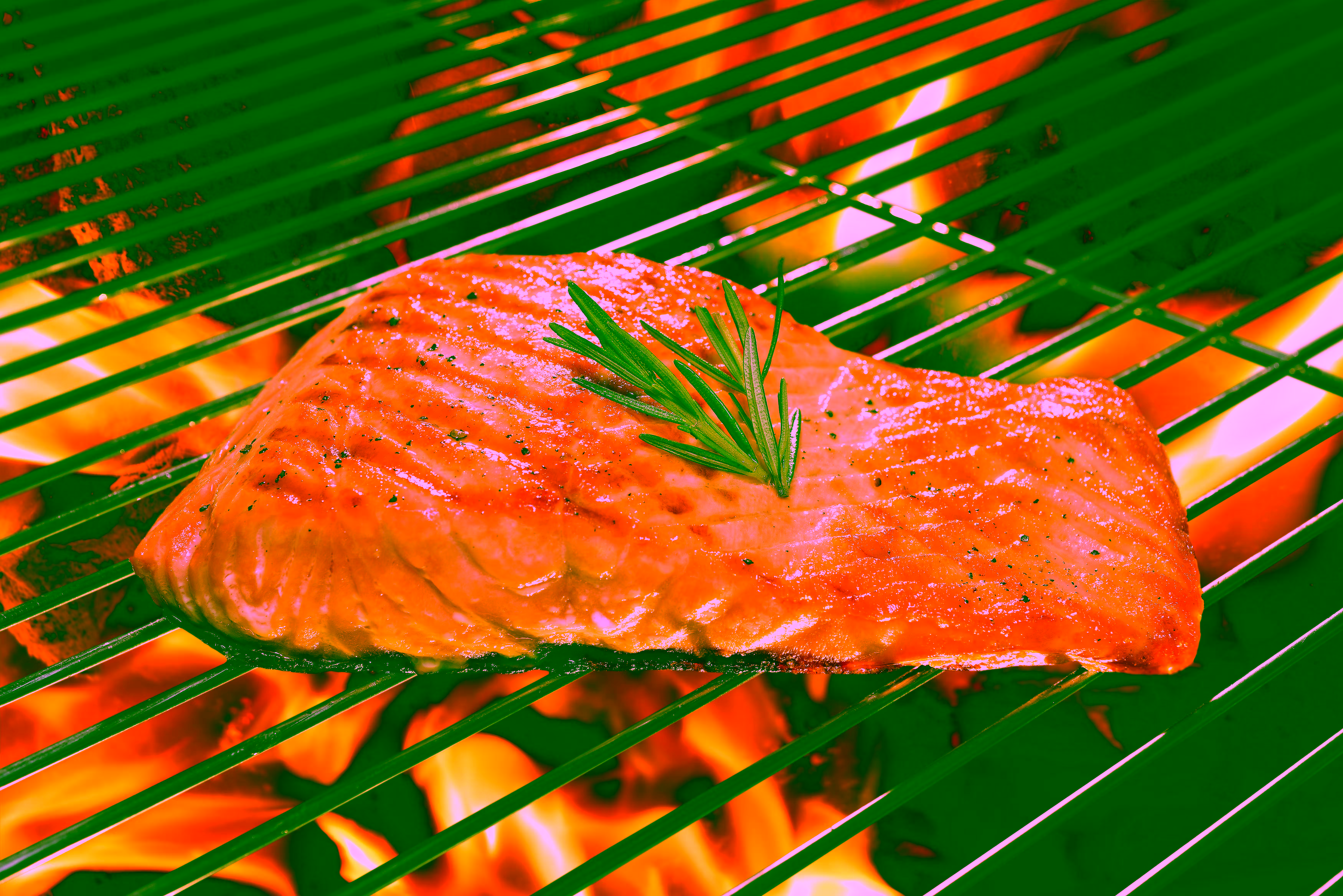 Slow-Roasted Salmon Recipe
