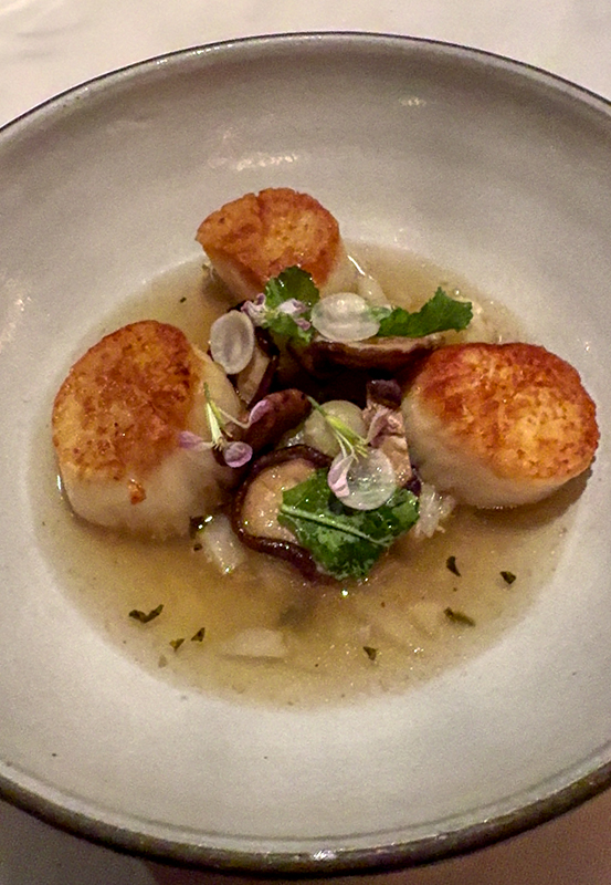 Elderberry House – Scallops
