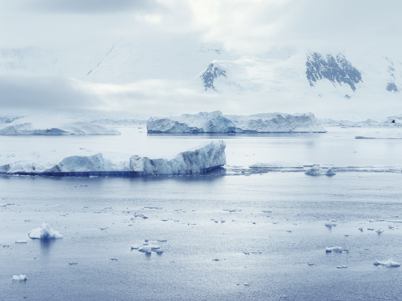 antarctica